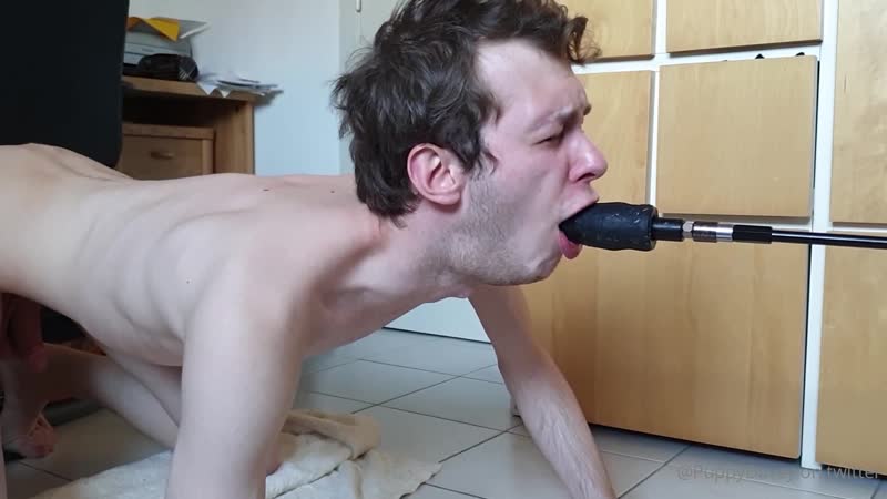 Davey porn video – Pup davey 20