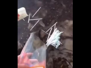 Purposely throwing plastic straws into the lake