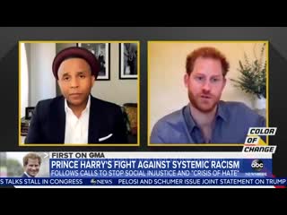 Prince harry speaks out on social change and addressing systemic porn