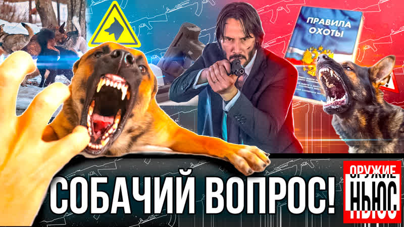 Что делать с бродячими молодые? какие изменения готовятся к правилам охоты броне костюм джона уика