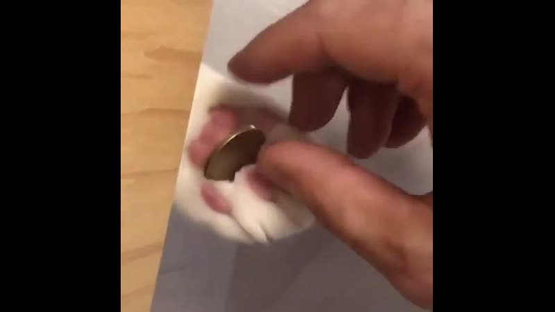 Когда платишь молодые художнику за свой заказ