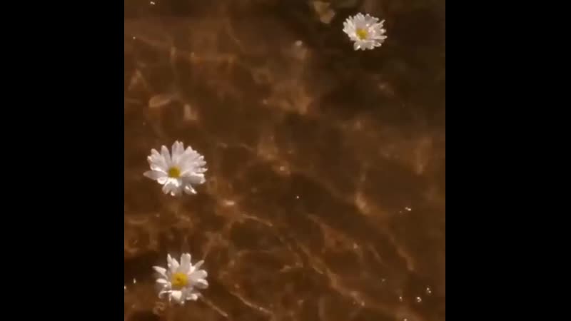 Гад блесс кайя гербер