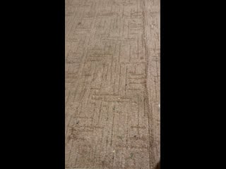 Live prk вписка