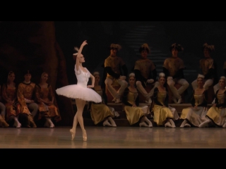 Uliana lopatkina raymonda act 3 (2015)