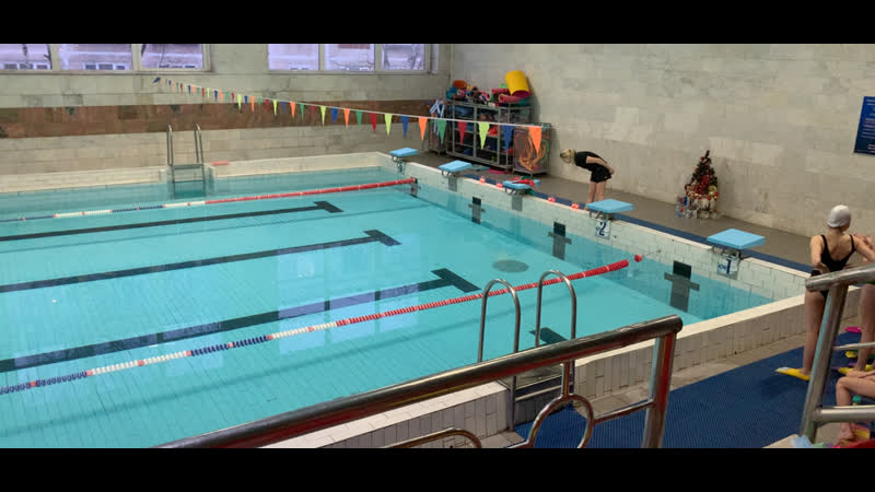 Live ёлка ксп