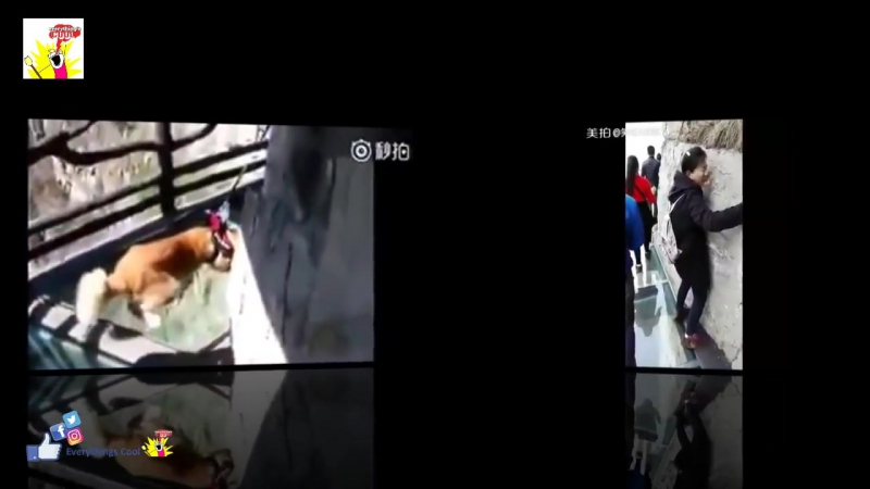 Ссыкуны на стеклянном мосту