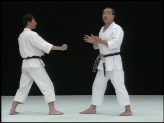 Best karate by sugita rip