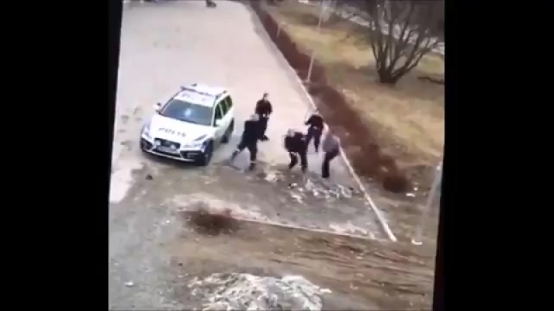 Полиция швеции телочки перемогают нелегального беженца