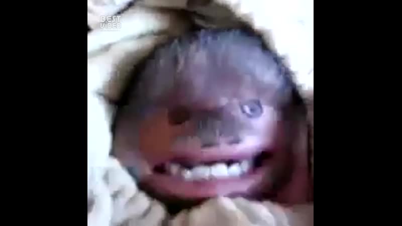 Человек из подбородка