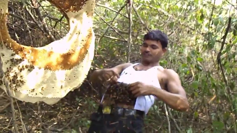 Повелитель пчёл