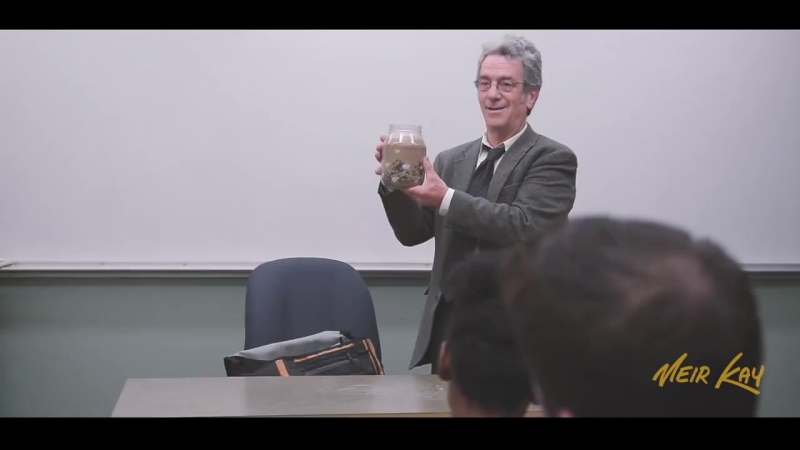 Как правильно расставить приоритеты © видеожесть