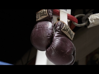 Gervonta davis floyd mayweather undefeated (2018)