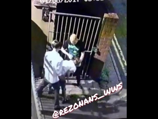 Встреча петухов