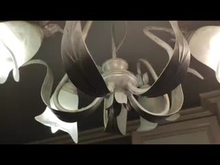 Vid 20201226 185840(0) mp4