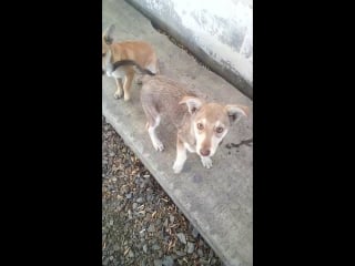 Trim 20181001 163143 mp4