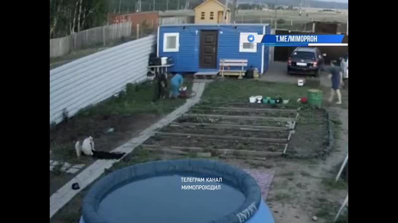 Женщина ломала чужой туалет и упала в выгребную яму