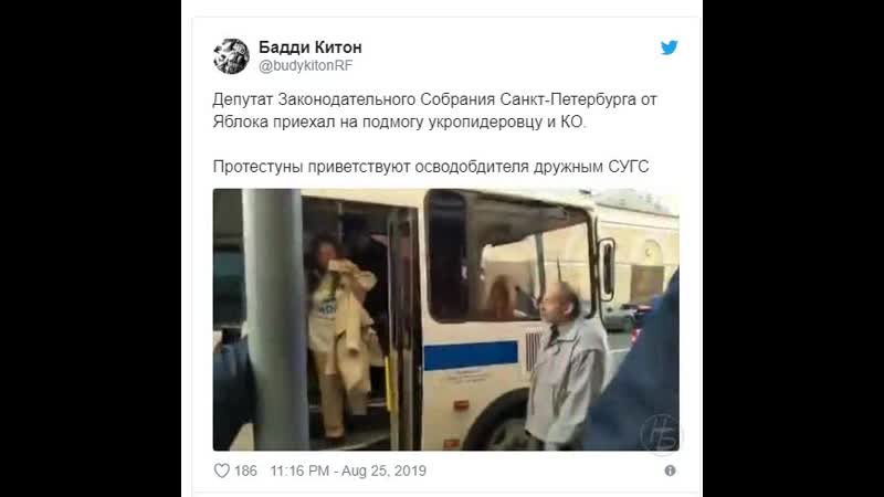 Депутат заксобрания санкт петербурга от яблока,борис вишневский приехал на подмогу кодле укропидеровцев
