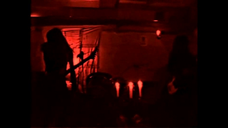 Hagl beyond the ground live in wolf refuge (2004 2008)