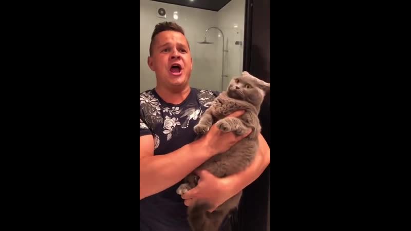 Кіт багато шипів і отримав відповідь