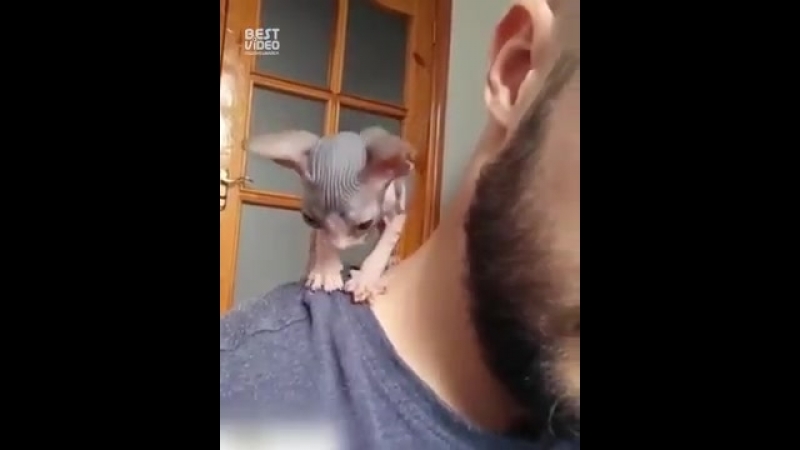 Когда приютил у себя на спине маленькое зло