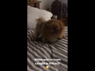 Hatchi foi pego no flagra com o olaf da perrie