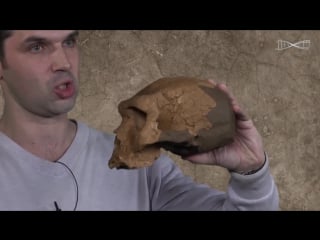 Хоббит и три черепа александр соколов мифы об эволюции человека