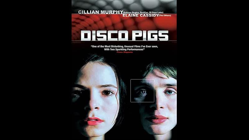 Дискосвиньи (2001) трансляция