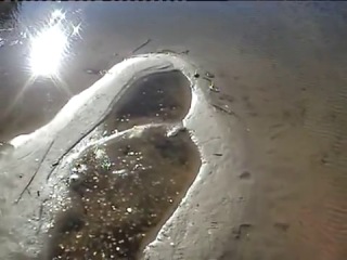 Православие головного мозга