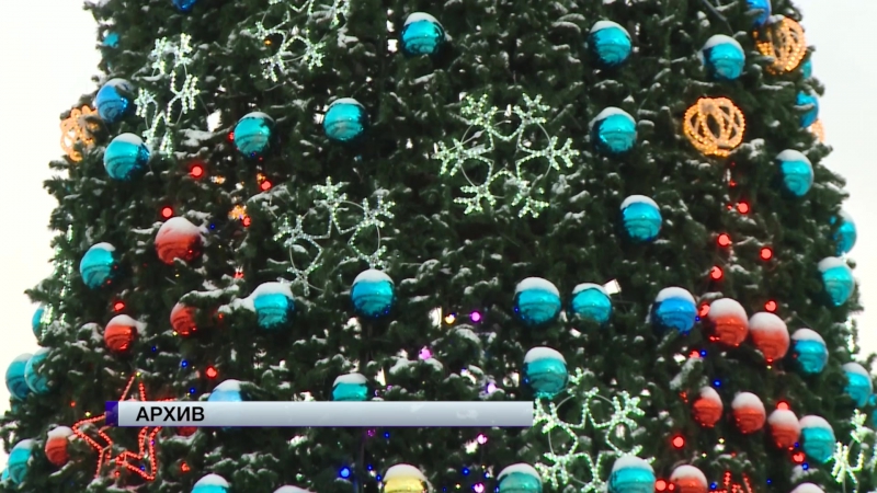 Устанавливают новогоднюю ёлку