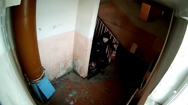 Г шарыпово, видеонаблюдение в подъезде 4 4 нарезка за 2 дня ссыкуны подъездны