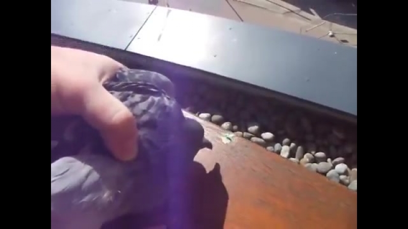 Кто бл*дь наделал ???