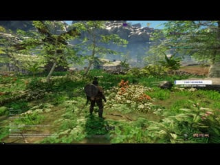 #new world preview (new mmorpg close beta)