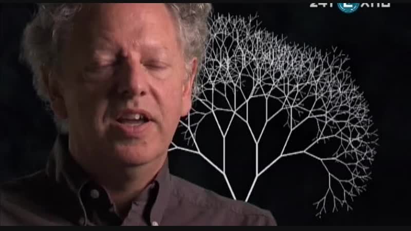 Фракталы порядок в хаосе в поисках скрытого измерения fractals hunting the hidden dimension [2008, сша, pbs nova]