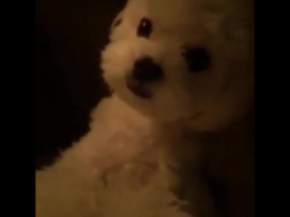 [instaogram] 151114 tao instagram update with candy