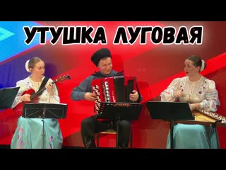 Утушка луговая казачий ансамбль атаман