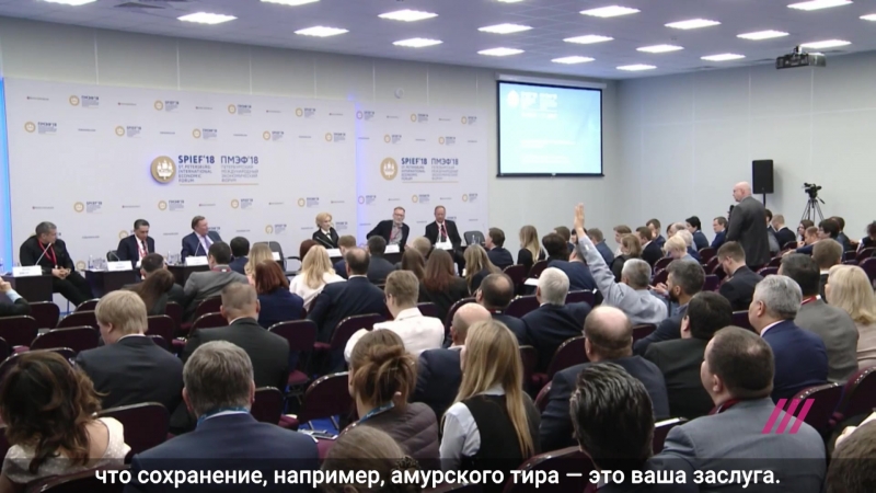 Иванов, соловьев и плюшевые мишки