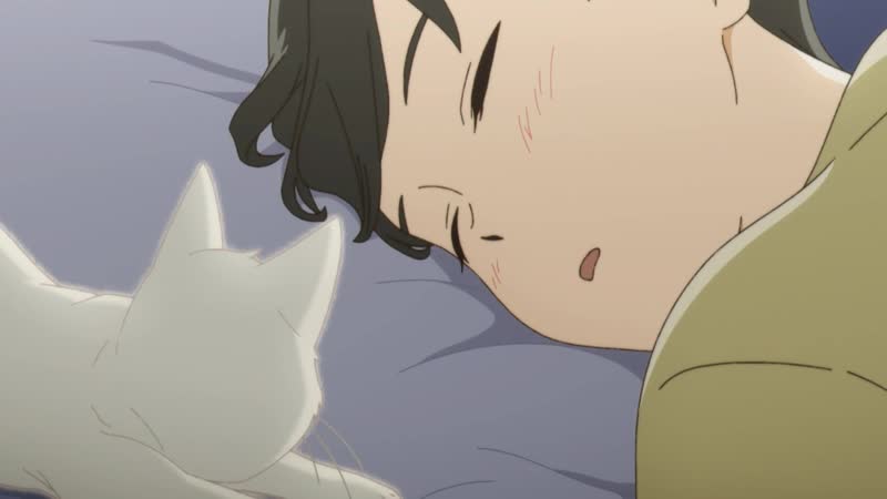 Аниме сквозь слёзы я притворяюсь кошкой