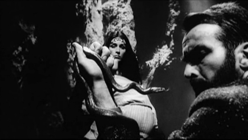 Фрейд тайная страсть / freud (1962) джон хьюстон / john huston