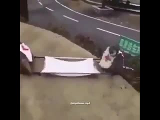 Ахуеный видос смотреть всем