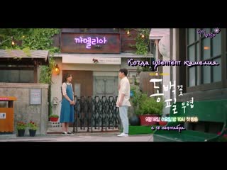 [mania] когда цветёт камелия / when the camellia blooms (тизер)