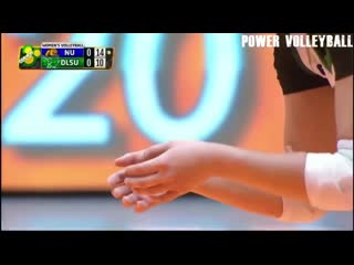 Craziest players in volleyball history (hd)