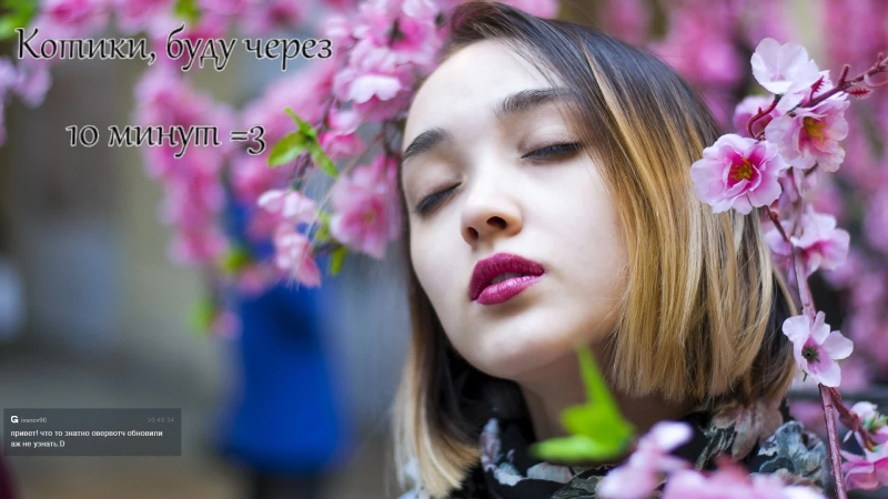 Анка пулеметчица)