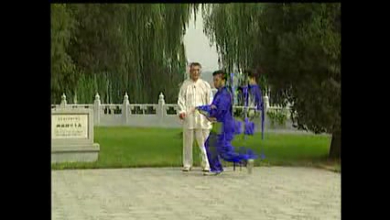 Ченьши багуа чжан с лю цзинчжу (1 4) часть 1