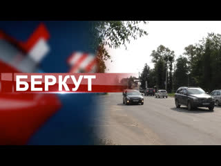 Многодетные семьи получат финансовую помощь на покупку автомобиля