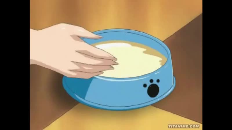 Фемдом доминирование где активная госоже в мультике куколд раба унижает