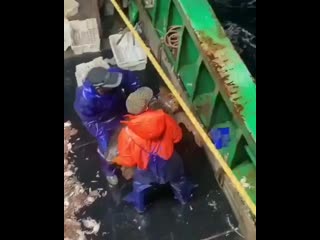 From subscribers @kadian navy123 when i first saw turtle i told the captain ( 600 x 480 ) mp4