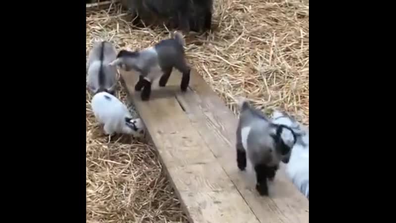 Thеrе's always that оnе porn