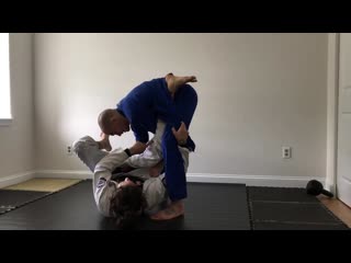 Squid guard tarikoplata