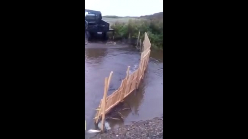 Браконьеры перегородили путь рыбе