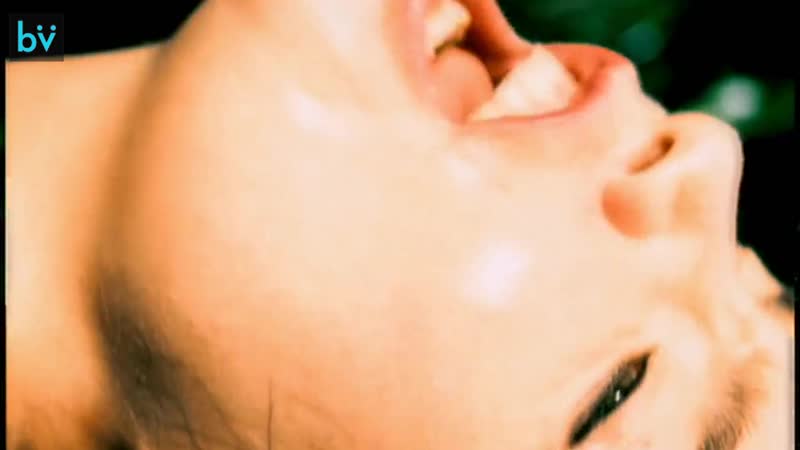 Björk / bjork / бьорк alarm call (1998) homogenic (1997)